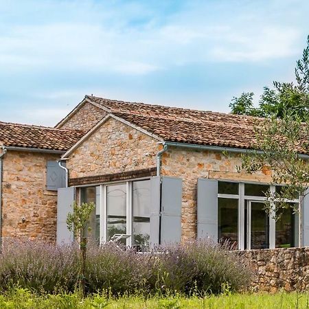 Tenuta Paljari Vižinada Esterno foto