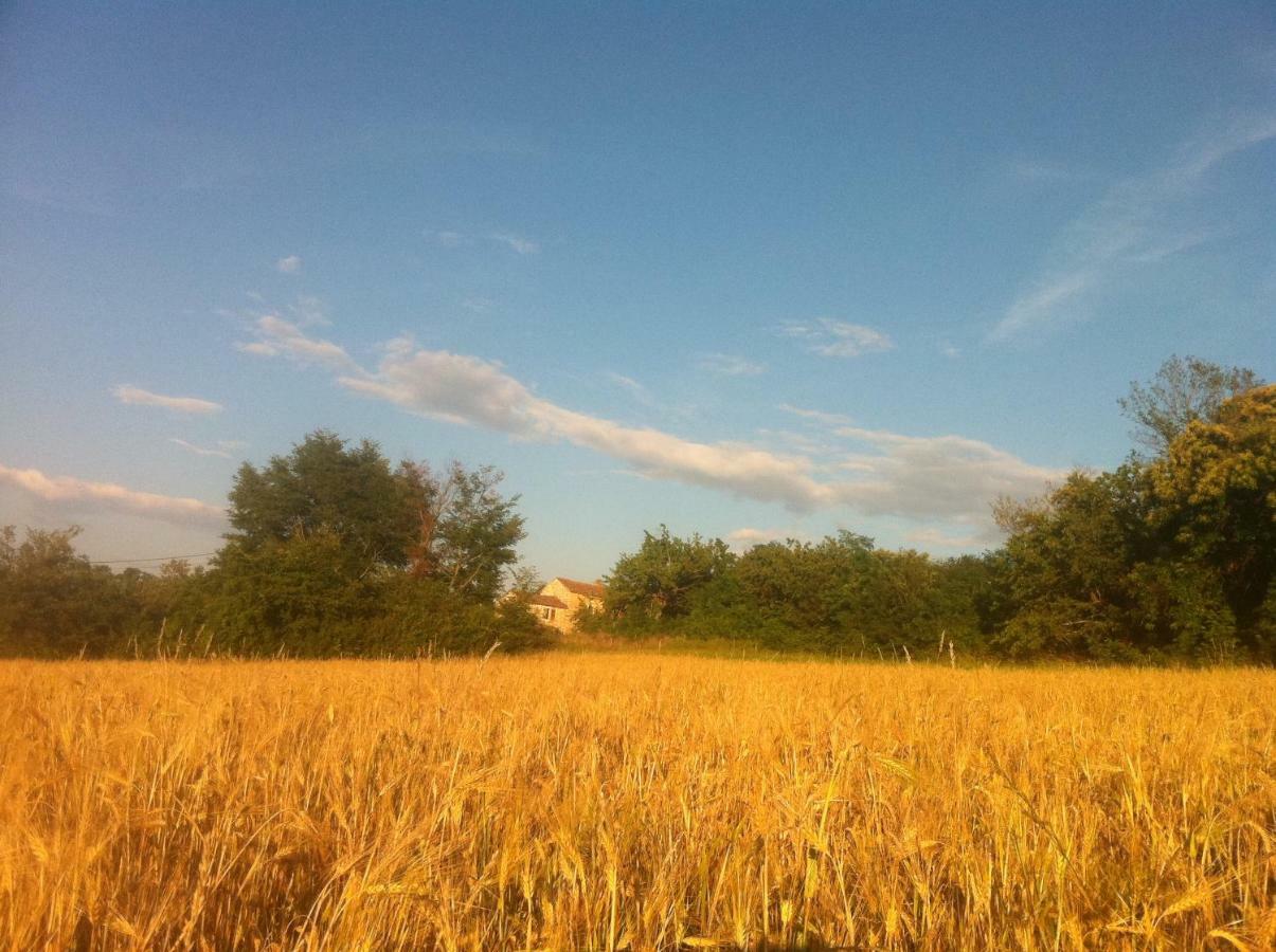 Tenuta Paljari Vižinada Esterno foto