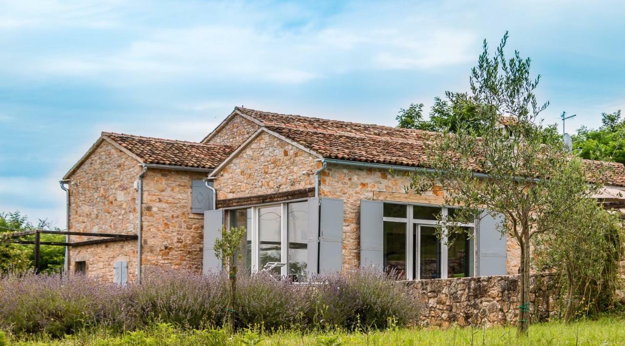 Tenuta Paljari Vižinada Esterno foto